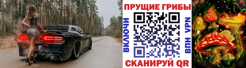 наркошоп  Когалым  ОМГ ОМГ вход  Галлюциногенные грибы Psilocybe 