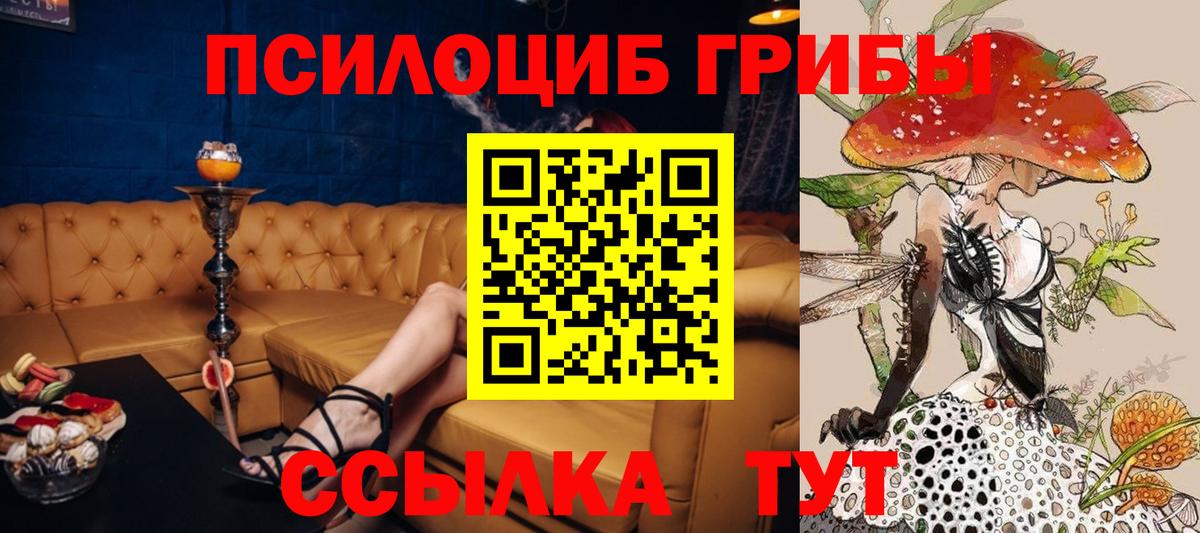 Псилоцибиновые грибы MAGIC MUSHROOMS  Вход с VPN  Когалым  Псилоцибиновые грибы Psilocybe 